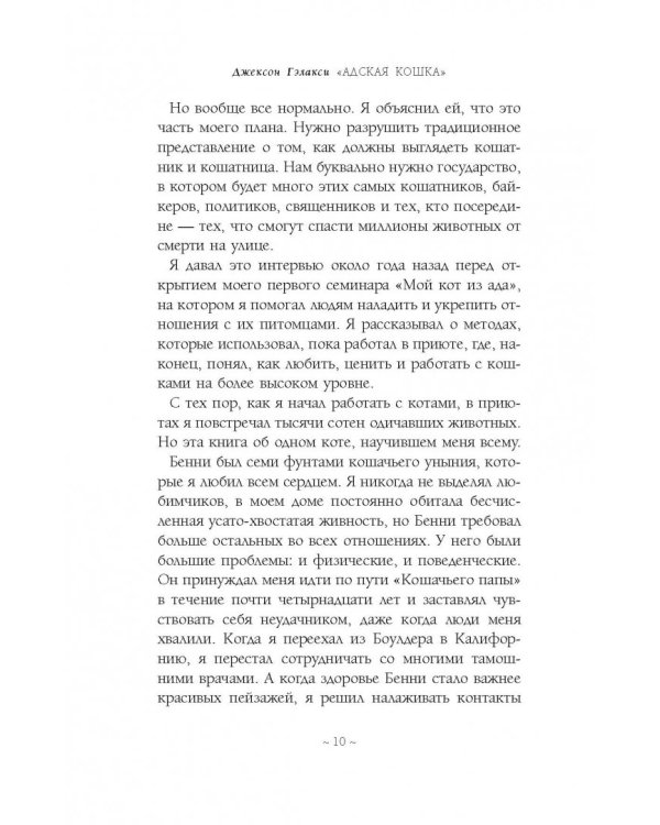 Дополнительное изображение книги «Адская кошка»