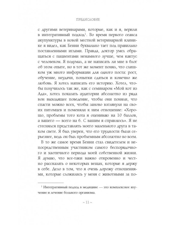 Дополнительное изображение книги «Адская кошка»