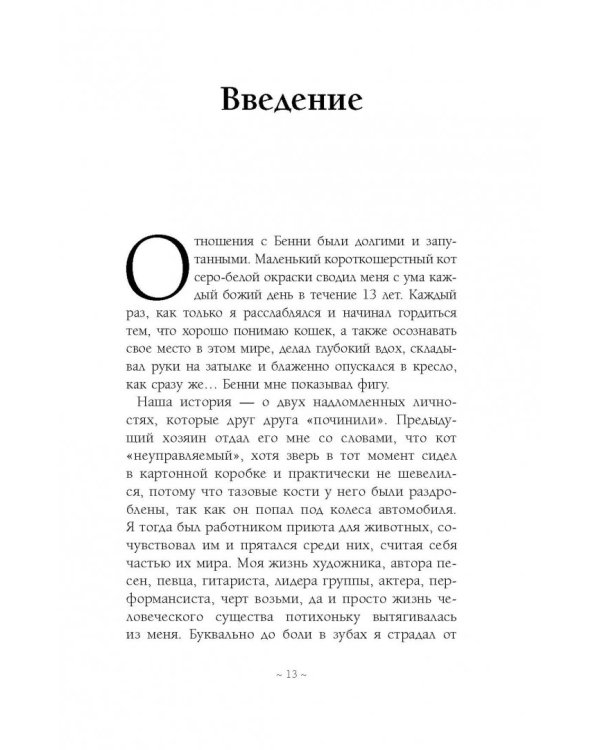 Дополнительное изображение книги «Адская кошка»