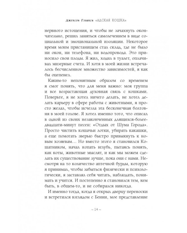 Дополнительное изображение книги «Адская кошка»