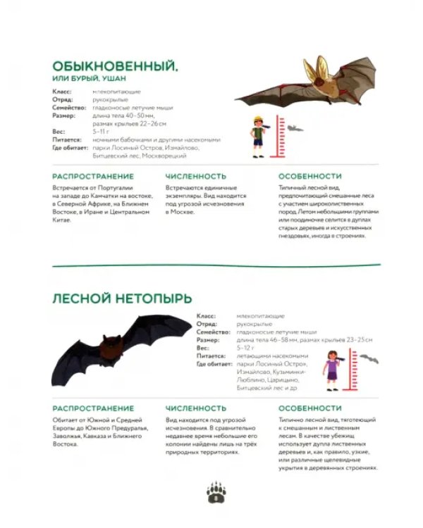 Красная книга Москвы. Детям о редких животных