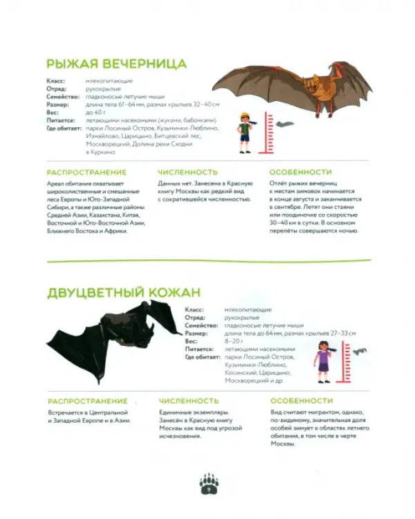 Красная книга Москвы. Детям о редких животных