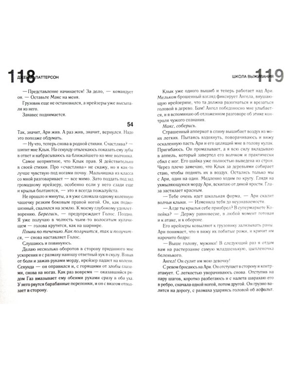 Maximum Ride. Школа выживания