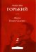 Жизнь Клима Самгина. Часть 2