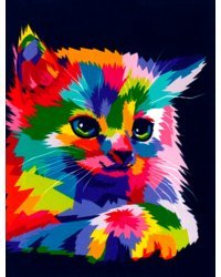 Картина по номерам на холсте с подрамником Котёнок