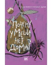 Почему у Меши нет дома?