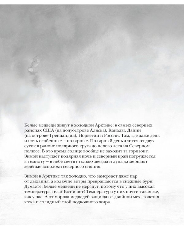 Белый медведь