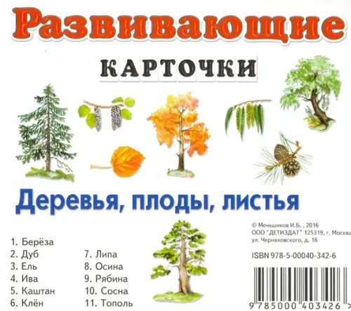 Развивающие карточки Деревья, плоды, листья