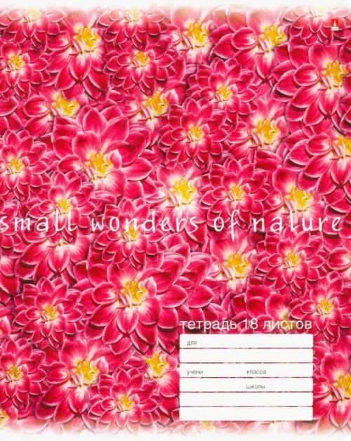 Тетрадь Цветы. Паттерн, 18 листов, линейка, в ассортименте Тетрадь Цветы. Паттерн, 18 листов, линейка, в ассортименте