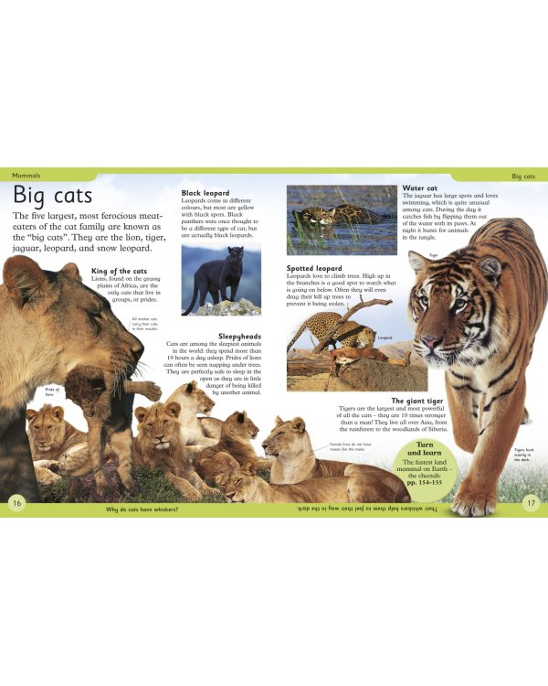 First Animal Encyclopedia. A First Reference Book for Children
