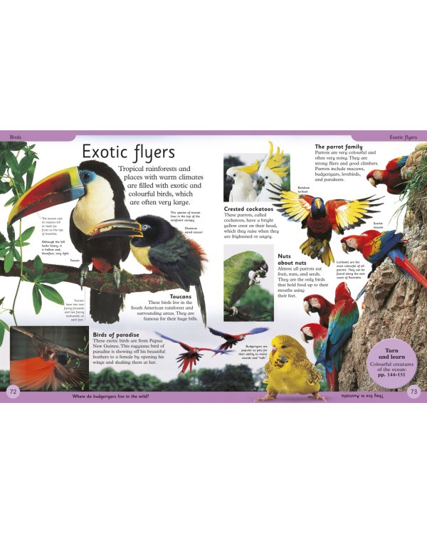 First Animal Encyclopedia. A First Reference Book for Children
