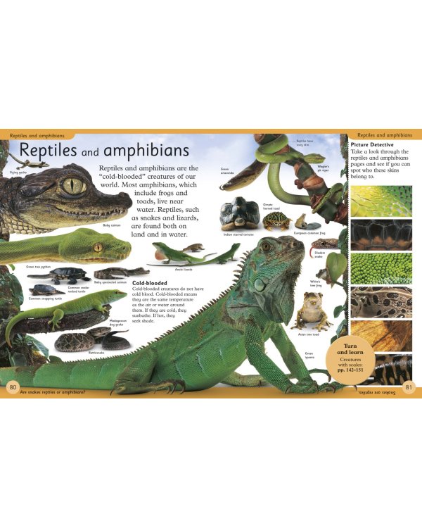 First Animal Encyclopedia. A First Reference Book for Children