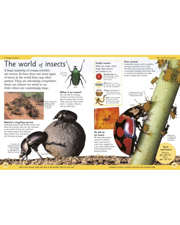 First Animal Encyclopedia. A First Reference Book for Children