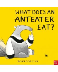 What Does An Anteater Eat?