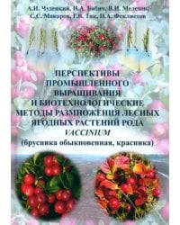 Перспективы промышленного выращивания и биотехнологические методы размножения лесных ягодных растений рода VACCINIUM (брусника обыкновенная, красника)