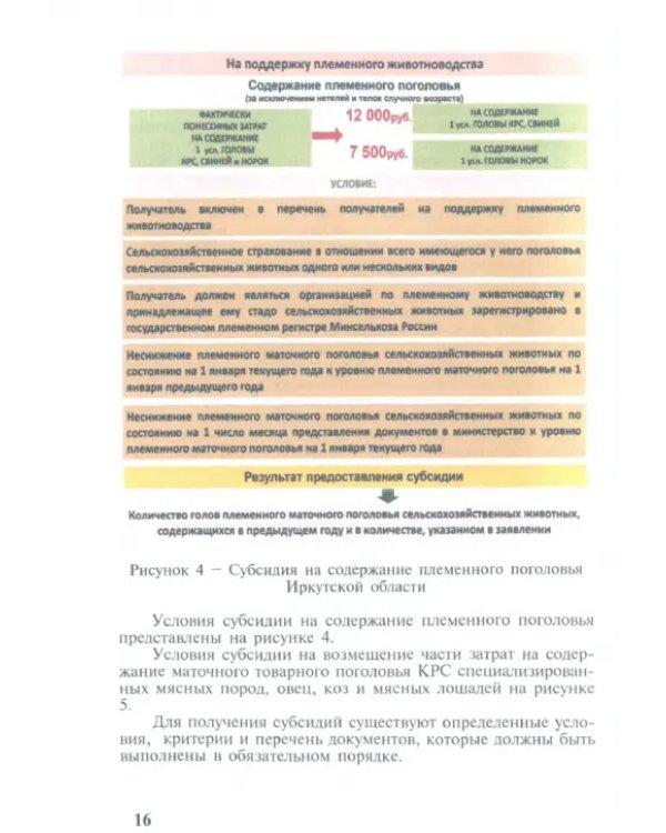 Государственная поддержка отрасли мясного скотоводства на материалах Иркутской области