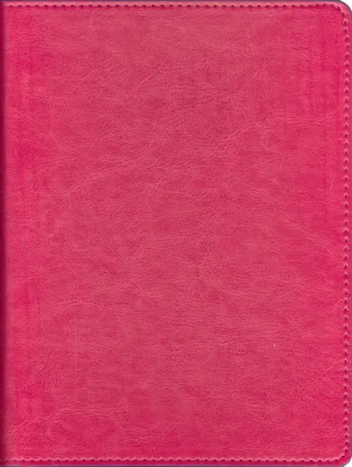 Тетрадь 40-48л Тетрадь Копибук на кольцах, 160 листов, коралловая с сиреневым
