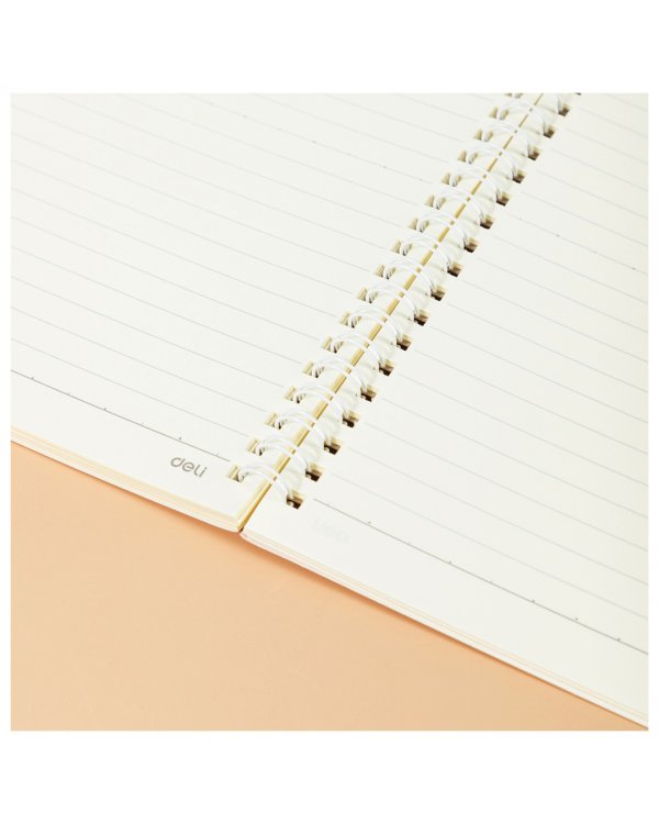 Тетрадь Larva, А5, 60 листов, линейка, в ассортименте