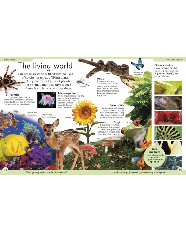 First Science Encyclopedia. A First Reference Book for Children