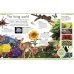 First Science Encyclopedia. A First Reference Book for Children