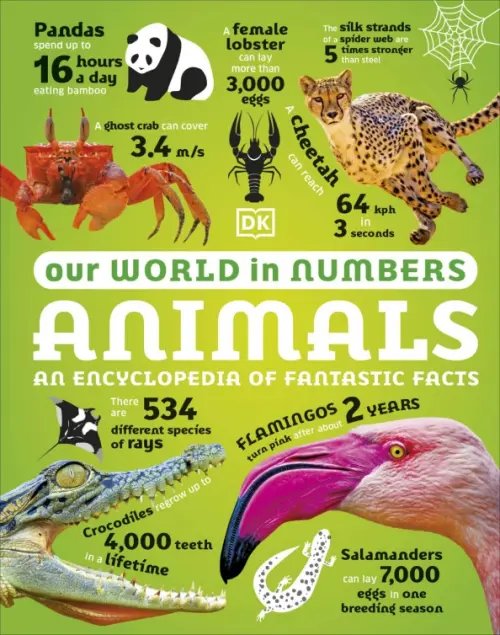 Our World in Numbers Animals Our World in Numbers Animals