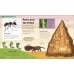 Дополнительное изображение книги «The Very Hungry Caterpillar's Very First Animal Encyclopedia»