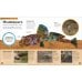 Дополнительное изображение книги «The Very Hungry Caterpillar's Very First Animal Encyclopedia»
