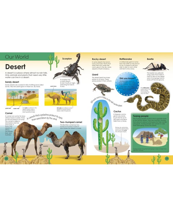 My First Encyclopedia. A Wealth of Knowledge at your Fingertips