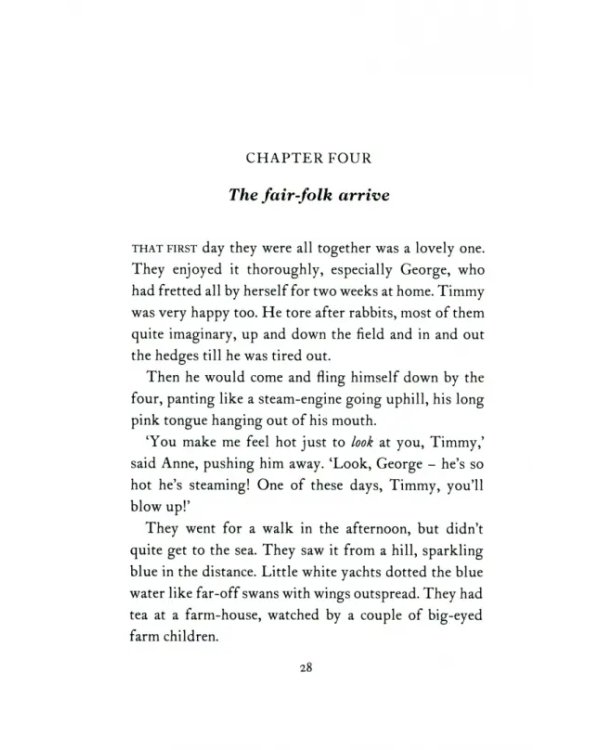 Дополнительное изображение книги «Five Have a Wonderful Time»
