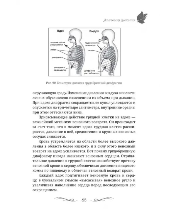 Тайны геометрии дыхания. Как дышать, чтобы сохранять здоровье, молодость и красоту