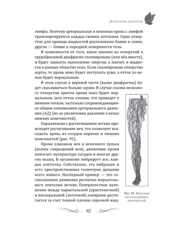 Тайны геометрии дыхания. Как дышать, чтобы сохранять здоровье, молодость и красоту