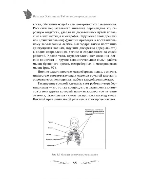 Тайны геометрии дыхания. Как дышать, чтобы сохранять здоровье, молодость и красоту