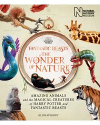 Fantastic Beasts. The Wonder of Nature. Amazing Animals and the Magical Creatures of Harry Potter