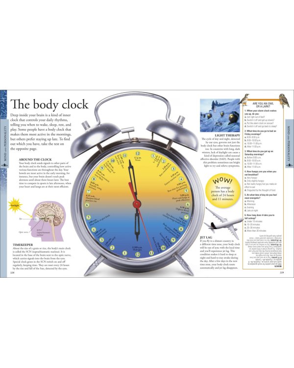 Human Body. A Children's Encyclopedia