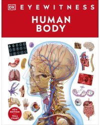 Human Body