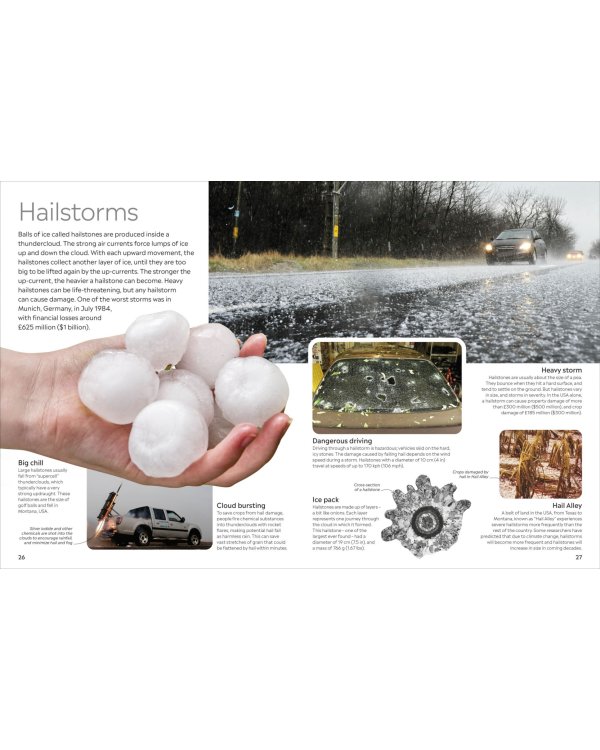 Hurricane and Tornado