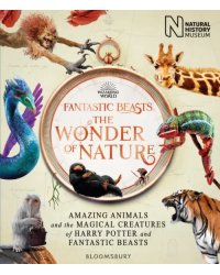 Fantastic Beasts. The Wonder of Nature. Amazing Animals and the Magical Creatures of Harry Potter