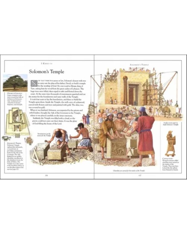The Children's Pocket Bible