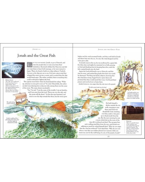The Children's Pocket Bible