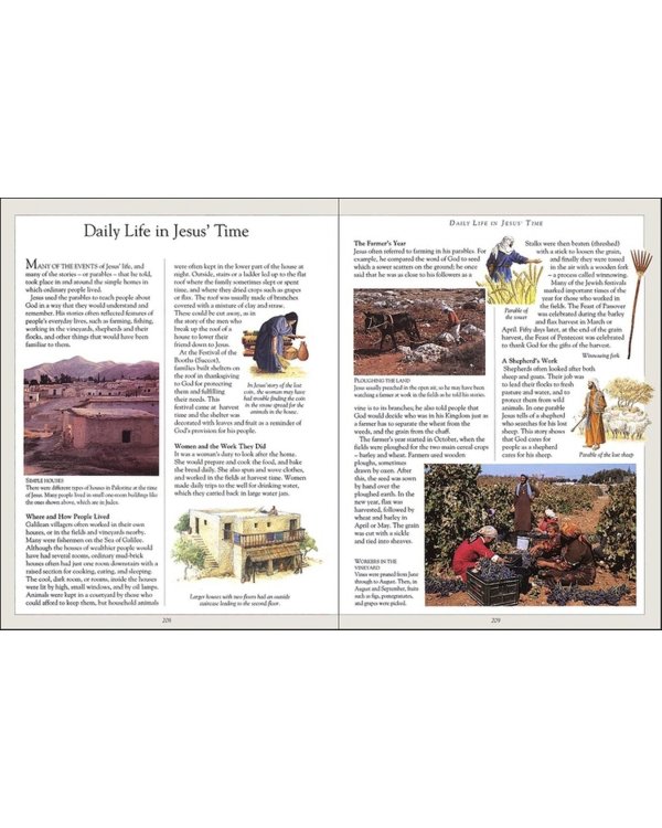 The Children's Pocket Bible