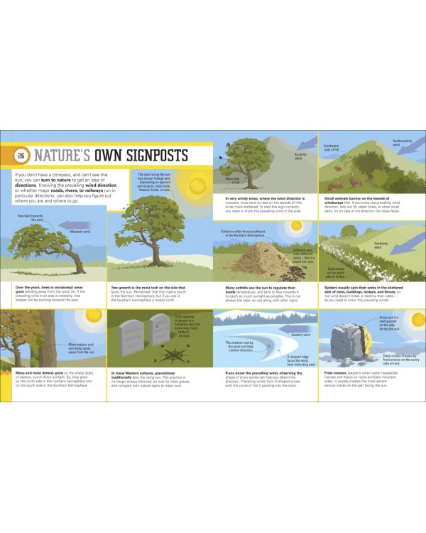 Survival for Beginners. A Step-By-Step Guide to Camping and Outdoor Skills