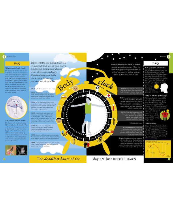 All About Your Brain