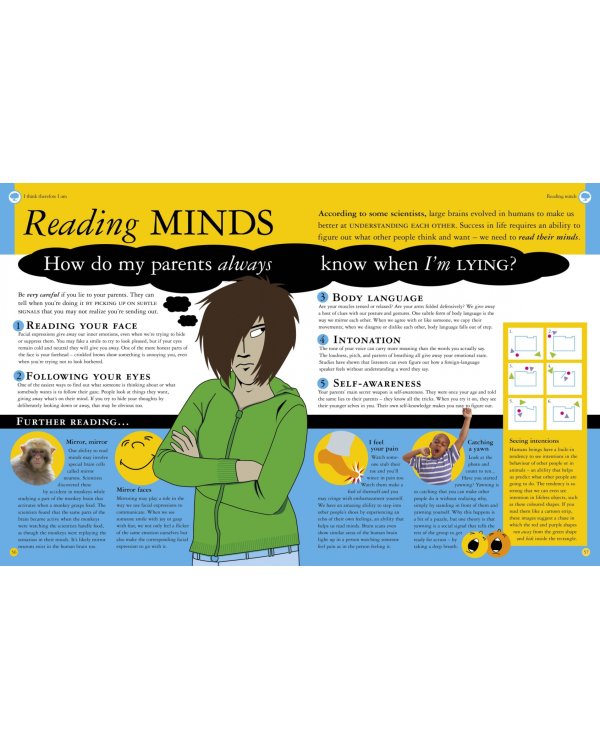 All About Your Brain