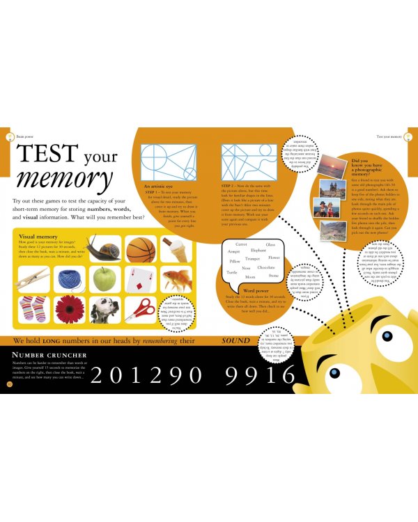 All About Your Brain