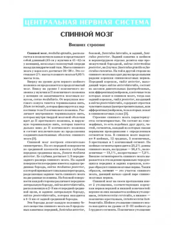 Анатомия нервной системы. Учебное пособие для вузов