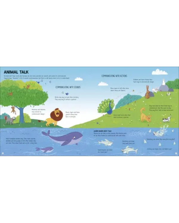 Дополнительное изображение книги «Language Around the World»