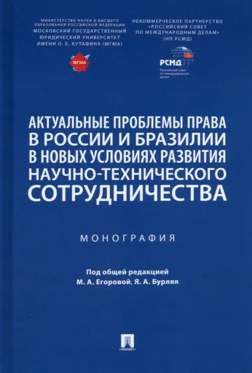 Актуальные проблемы права в России и Бразилии в новых условиях развития. Монография Актуальные проблемы права в России и Бразилии в новых условиях развития. Монография