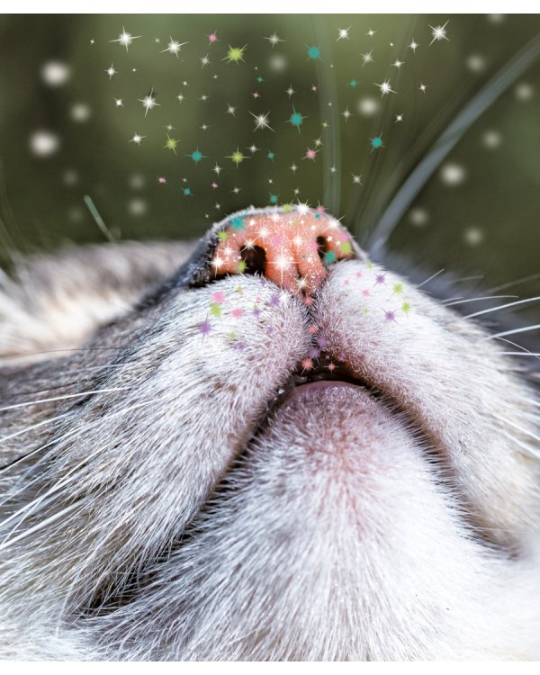 Тетрадь Блестящие и милые, А5, 48 листов, клетка, гребень, в ассортименте