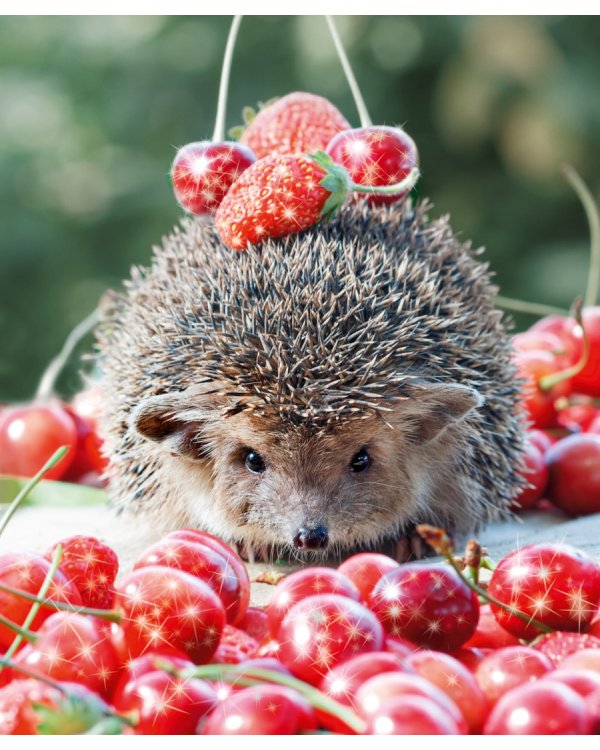 Тетрадь Блестящие и милые, А5, 48 листов, клетка, гребень, в ассортименте