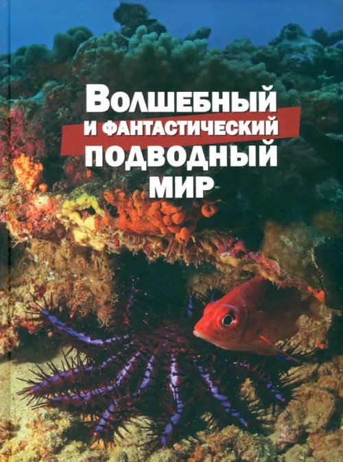 Волшебный и фантастический подводный мир Волшебный и фантастический подводный мир